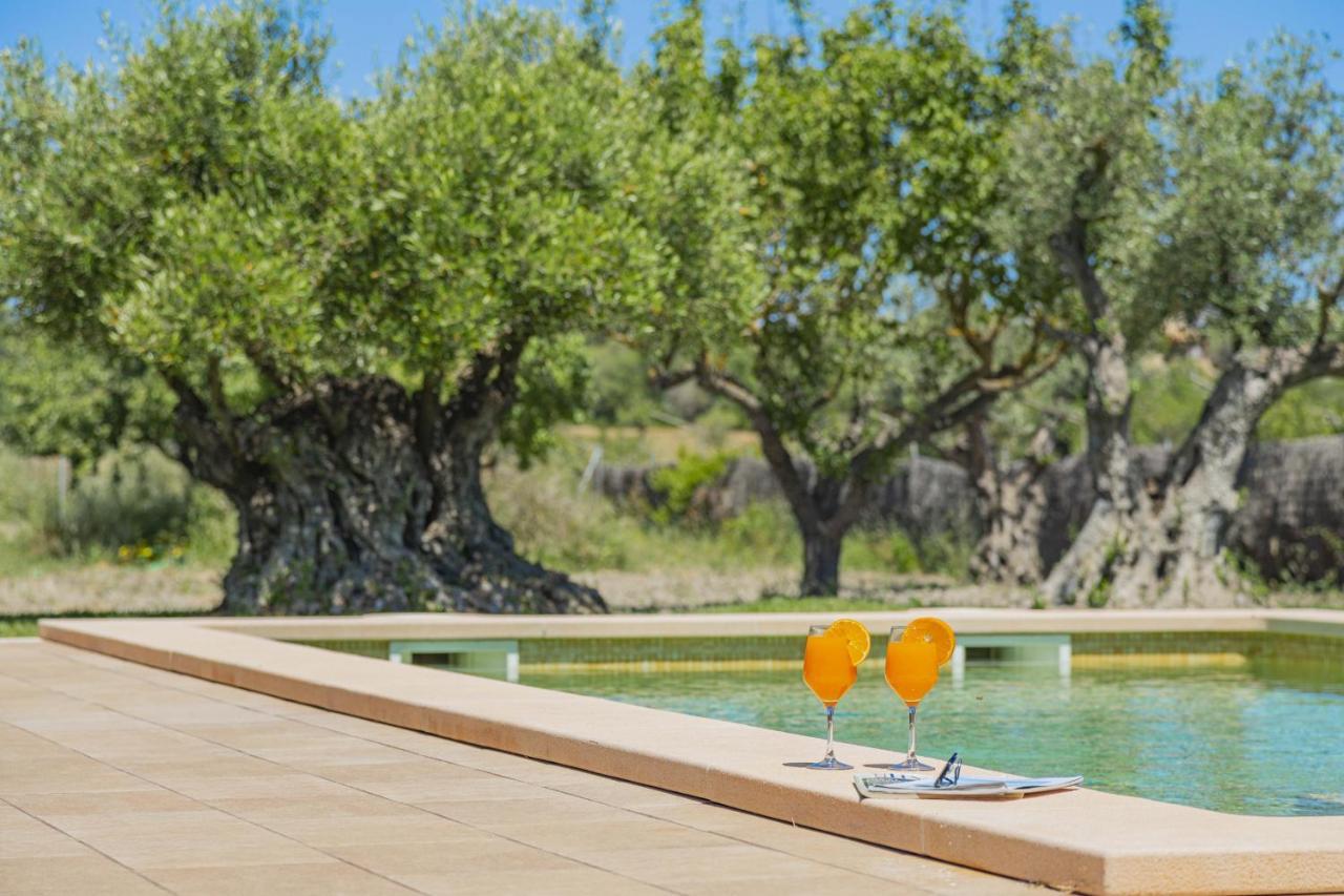 Segue Villa Alcudia (Mallorca)