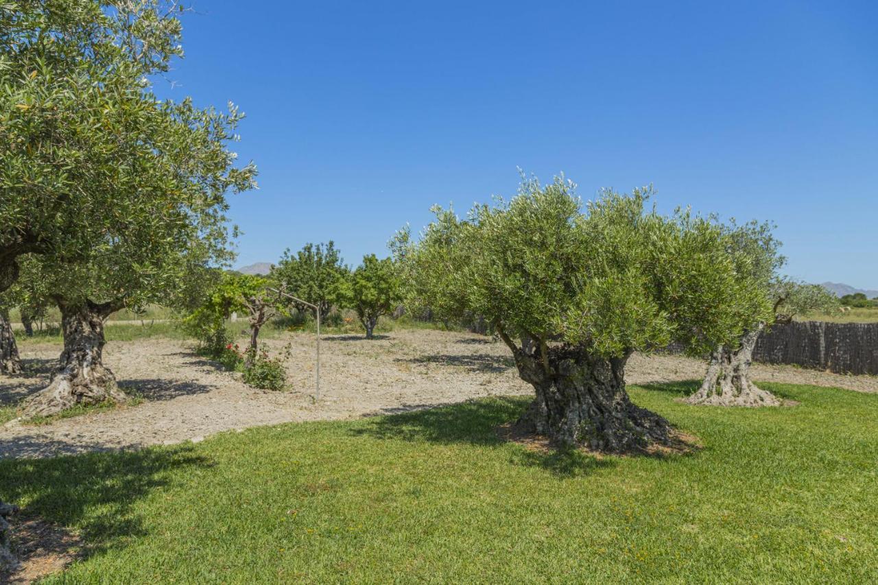 Segue Villa Alcudia (Mallorca)