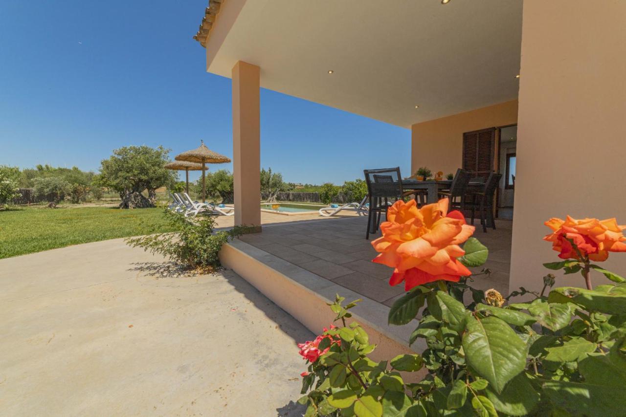 Segue Villa Alcudia (Mallorca)